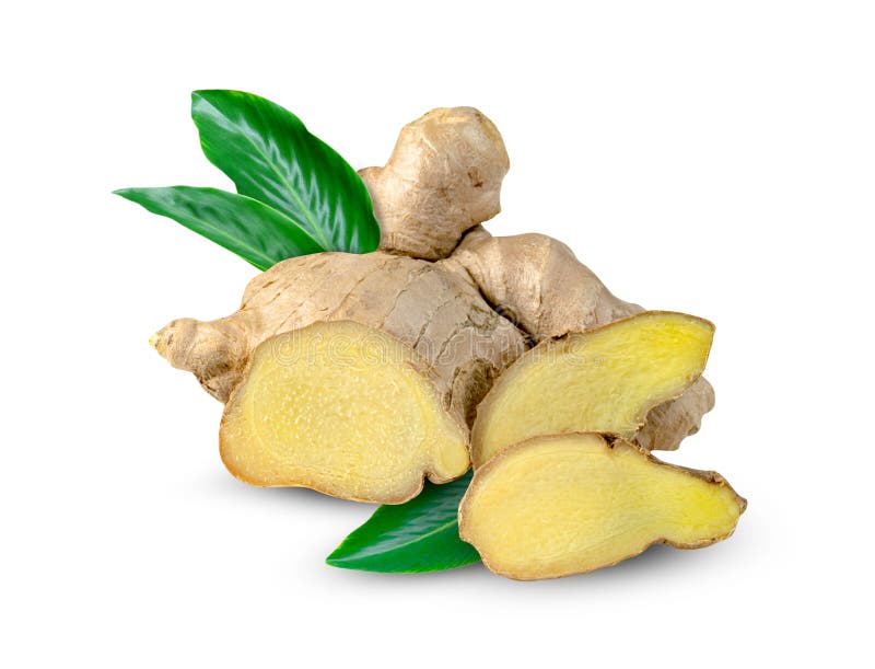 Fresh Ginger Root and Leaves Isolated on White Background Stock Photo