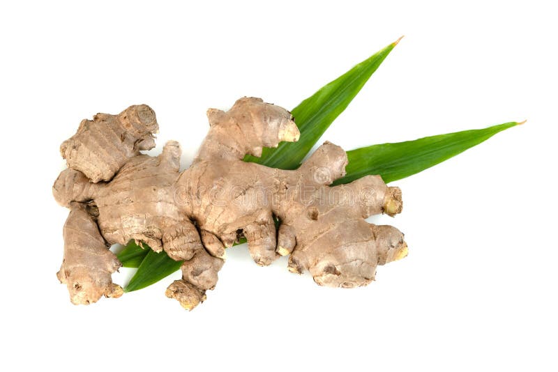 Fresh Ginger Root and Leaves Isolated on White Background Stock Image