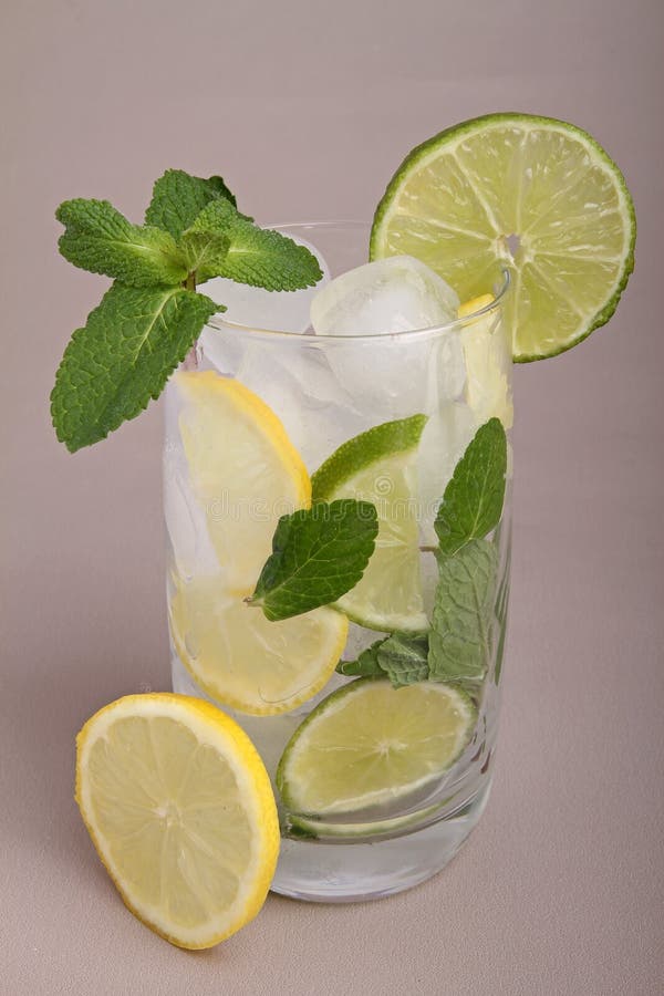 Fresh Glass of Mojito Cocktail Stock Image Image of mojito, tropical