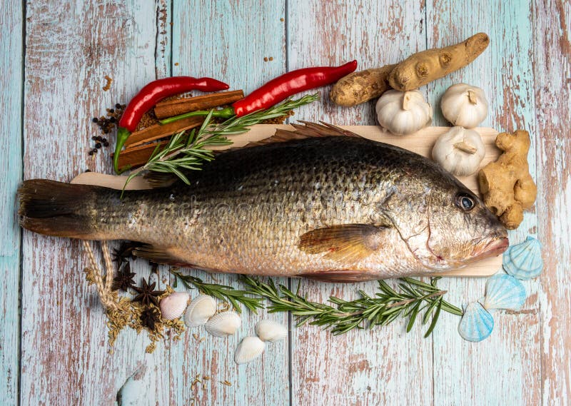 Golden snapper hi-res stock photography and images - Alamy