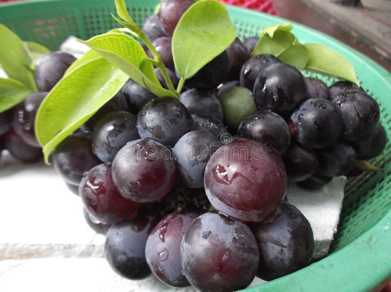 Fresh grape