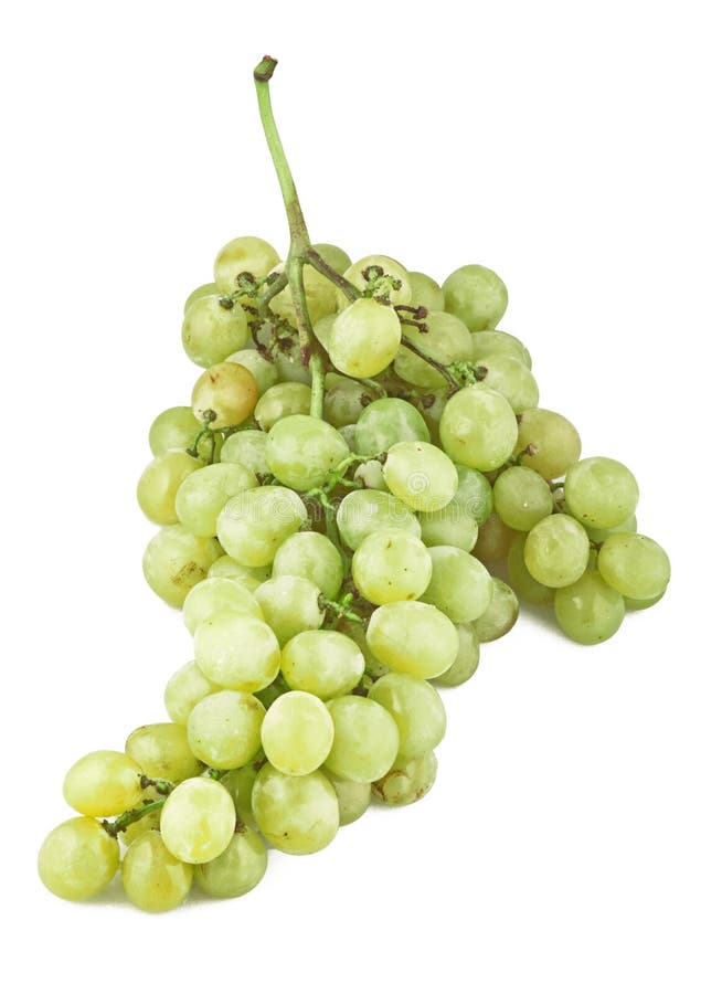 Fresh grapes stock image. Image of macro, harvest, drink - 22565575