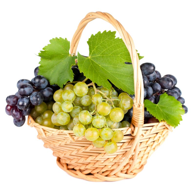 Fresh grapes