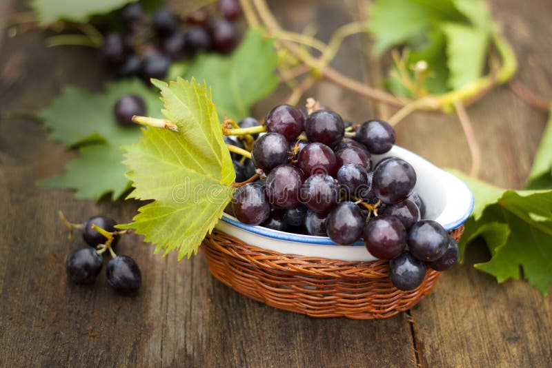 Fresh grapes-International Food