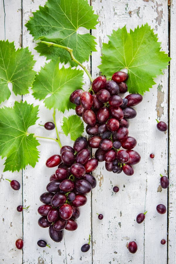 Fresh grapes of redwine on an old white wooden table stock photography Fresh grapes of redwine on an old white wooden table stock photography