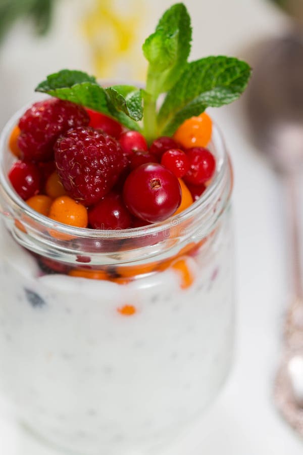Fresh Greek Yogurt with Chia Seeds and Fresh Berries Stock Image