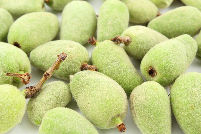 Fresh green almond fruits stock image. Image of vegetable 121100053
