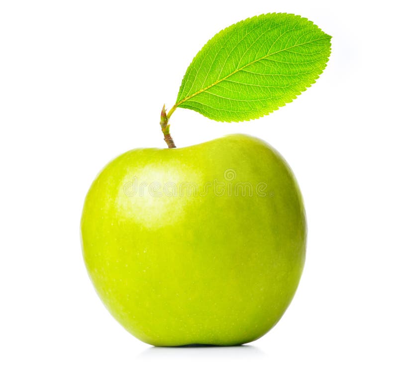 Fresh green apple stock photo. Image of snack, isolated 16867740