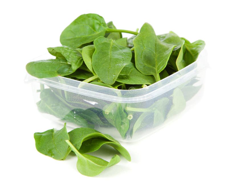 Baby spinach leaves stock image. Image of freeze, drop - 113081077