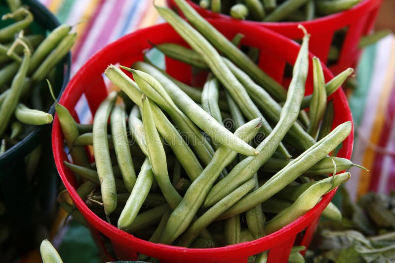 Fresh Green Beans stock image. Image of pole, market 21022549