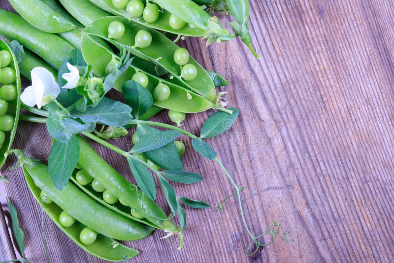 Fresh Green Beans of Peas with Flower on Stone Stock Image Image of