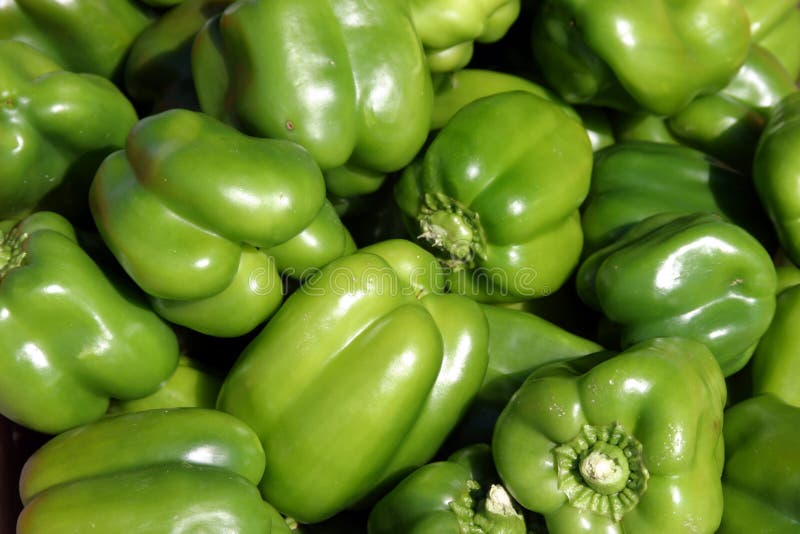 Fresh green bell pepper