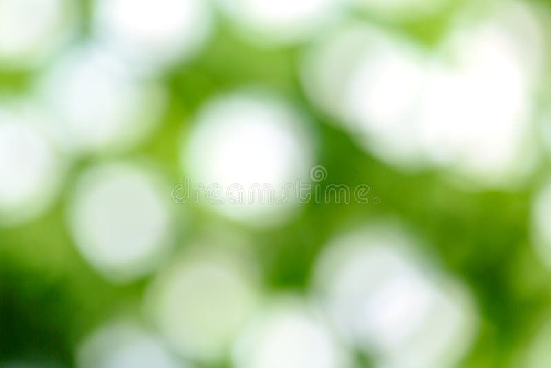 Fresh green blur background