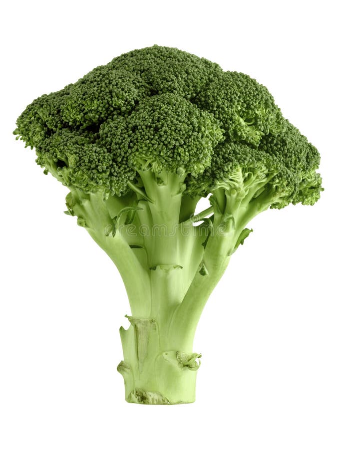 1,038 Micronutrients Chart Stock Photos Free & RoyaltyFree Stock Photos from Dreamstime