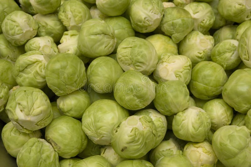 Fresh green Brussels sprouts