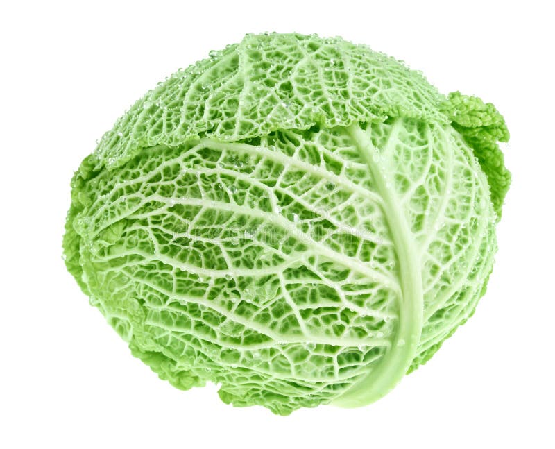 Fresh green cabbage head stock photo. Image of vegetable 18790396