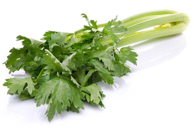 Fresh green celery stock photo. Image of stalk, vegetable 43063710