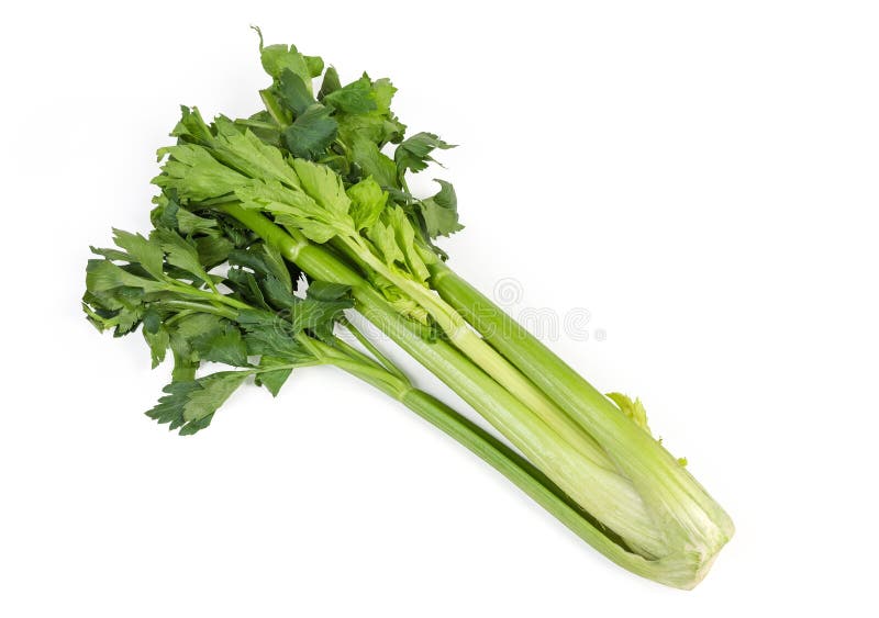 Fresh Green Celery Stem on a White Background Stock Photo - Image of ...