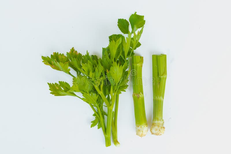 Celery Head stock photo. Image of vegetable, dieting, lifestyle 2590016