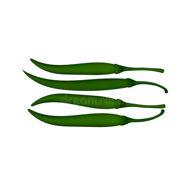 Fresh Green Chili Vector Image Stock Vector - Illustration of vegetable