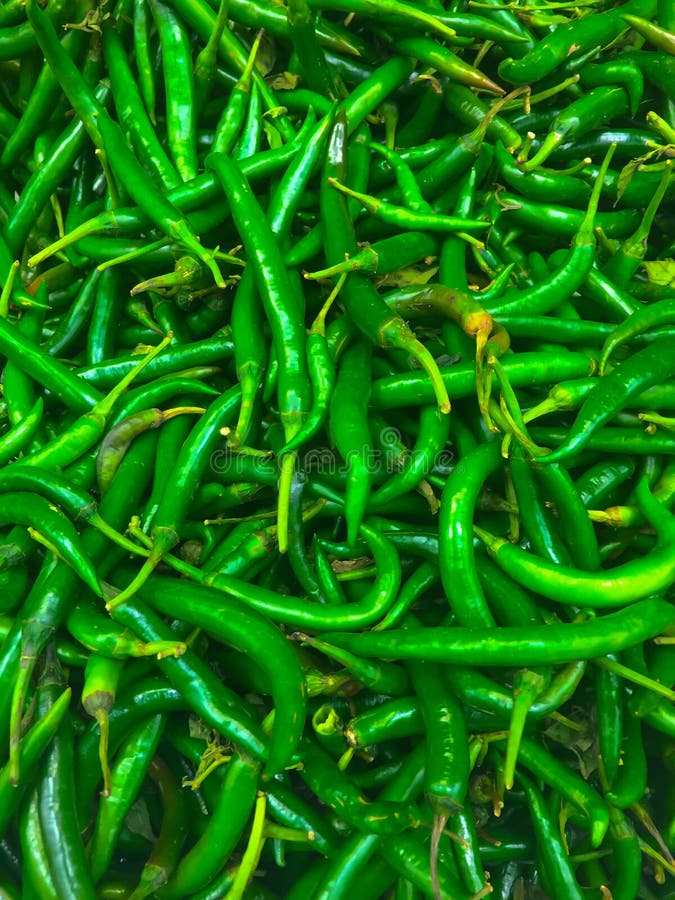 Fresh Green chillies stock image. Image of cultivation 78959053