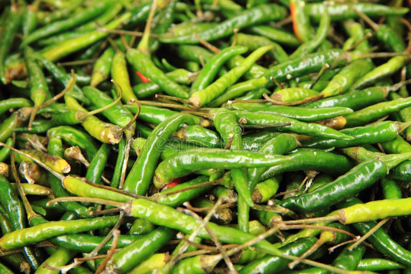 fresh green chilly spice