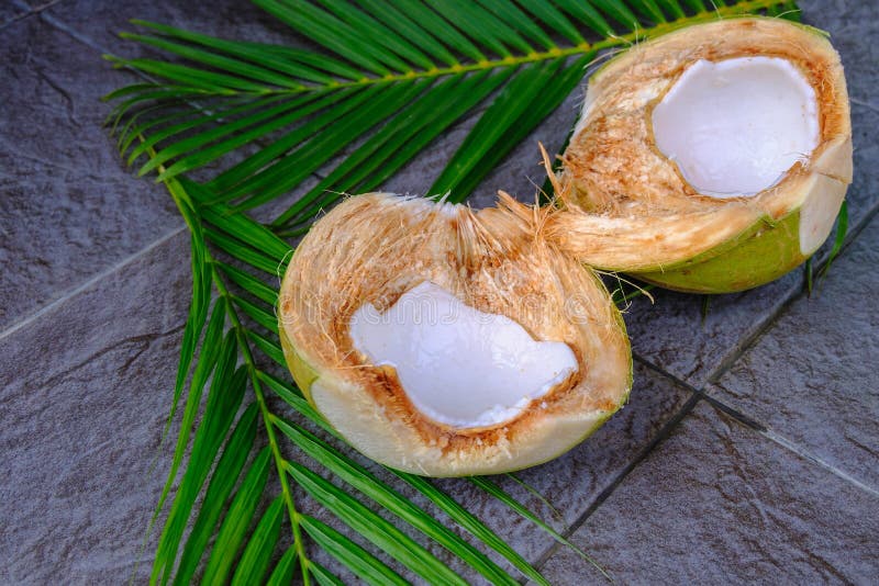 Coconut Water and Fresh Coconut for Health Stock Photo Image of cocktail, fruit 142503496