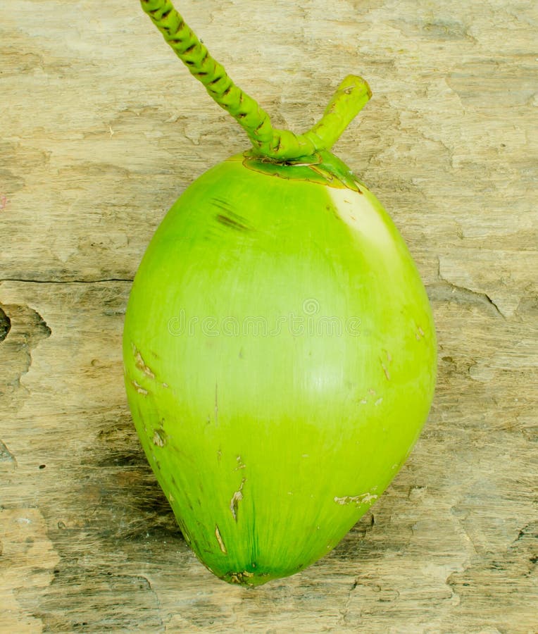 Fresh green coconut stock image. Image of vegetables - 31794153