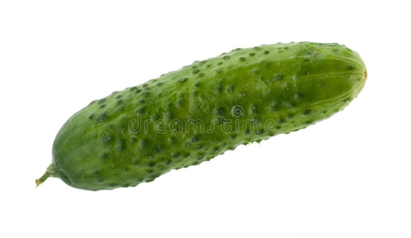 Fresh green cucumber
