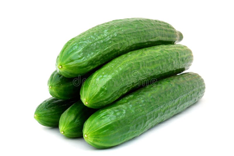 Fresh Green Cucumber