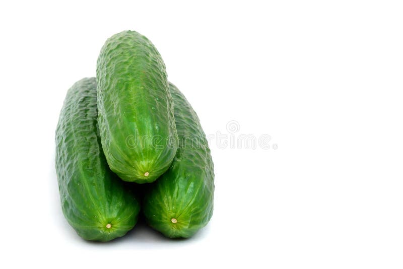 Fresh Green Cucumber