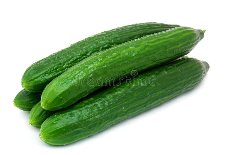 Fresh Green Cucumber