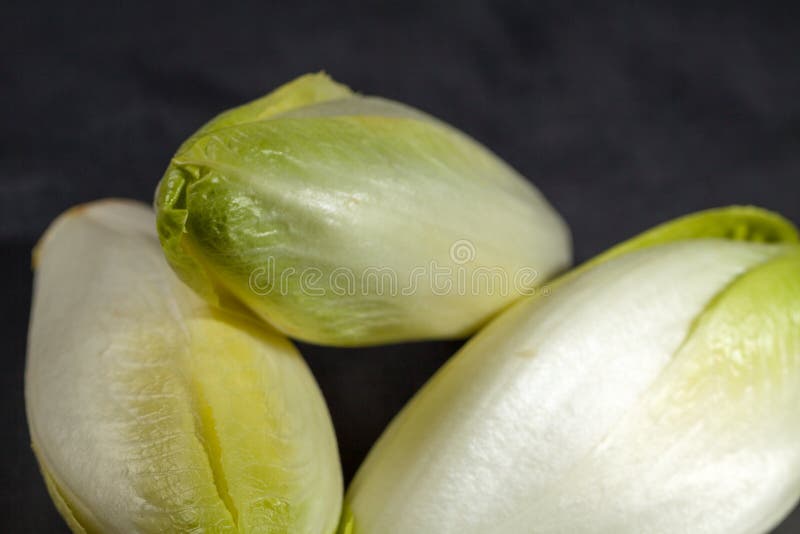 Fresh green endive stock image. Image of plant, organic 81978483