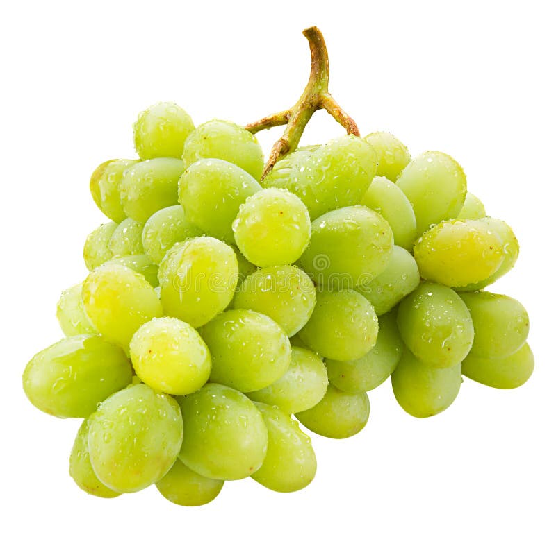 Fresh green grapes with drops Isolated on white