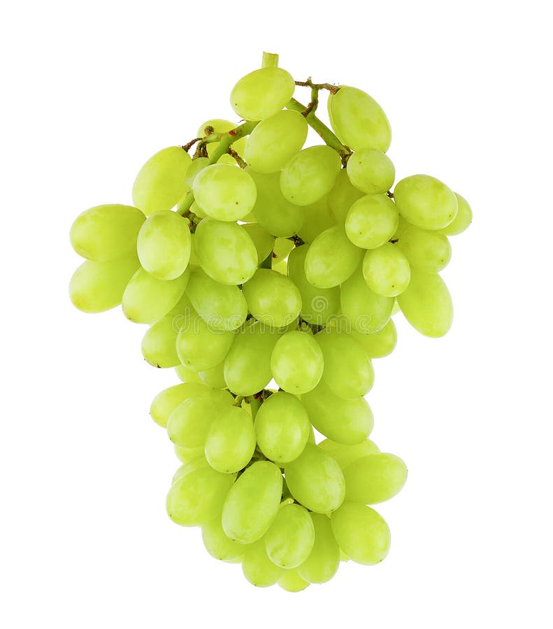 Fresh Green Grapes Isolated Stock Image - Image of food, white: 73178597