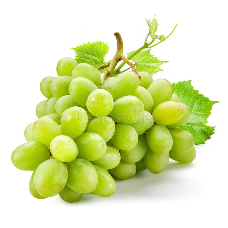 Fresh green grapes with leaves. Isolated on white