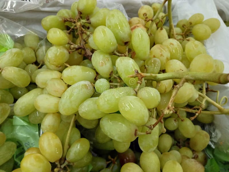Fresh Green Grapes for Sale at a Market Stock Photo Image of sale
