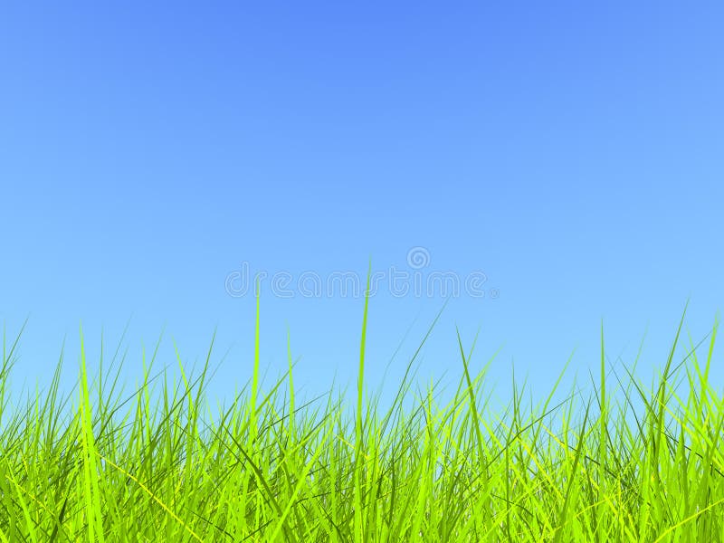 Fresh green grass on blue sunny sky background (3d render)