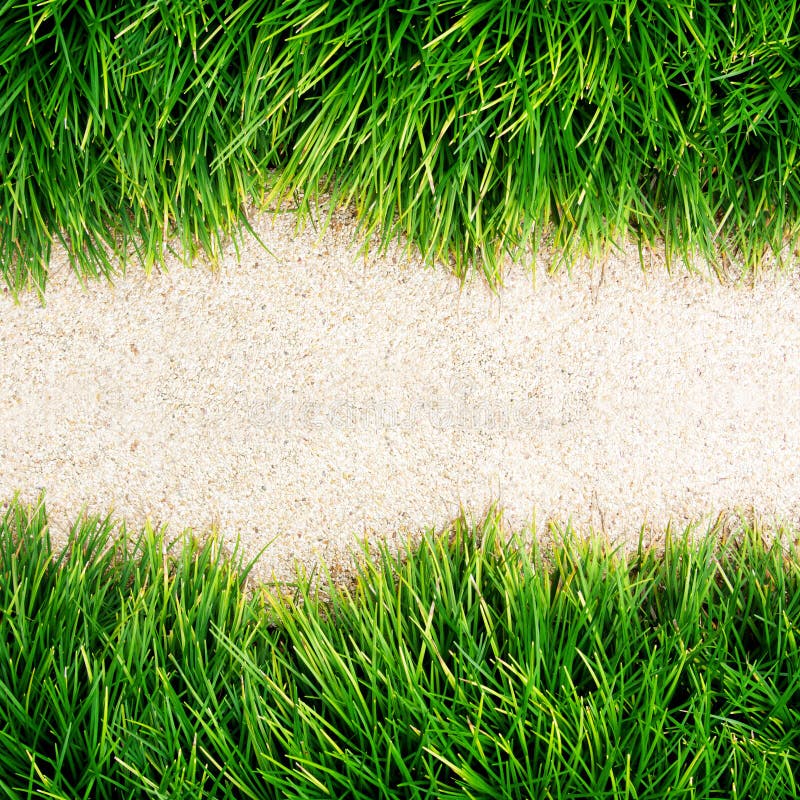 Fresh Green Grass on floor stock image. Image of exterior 21334901