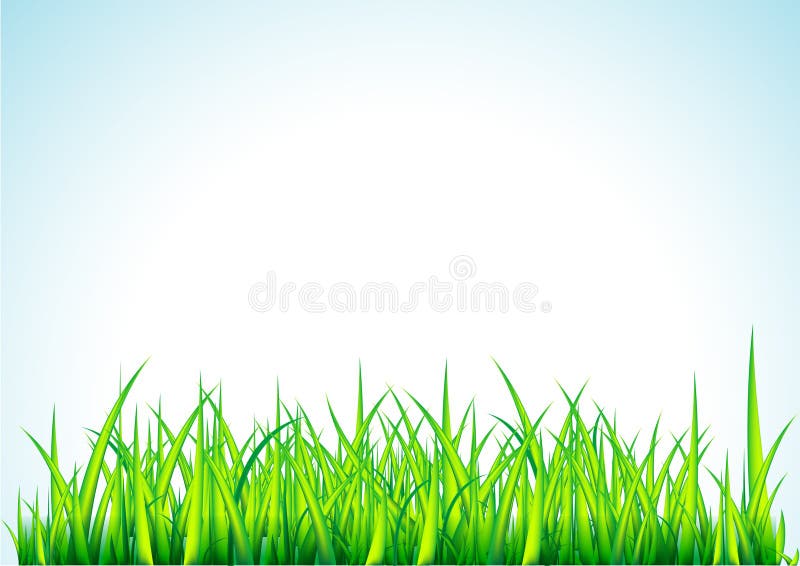 Fresh green grass illustration vector illustration