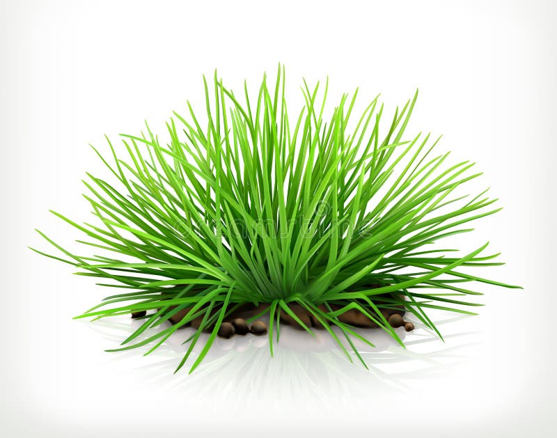 Fresh green grass, vector icon royalty free illustration