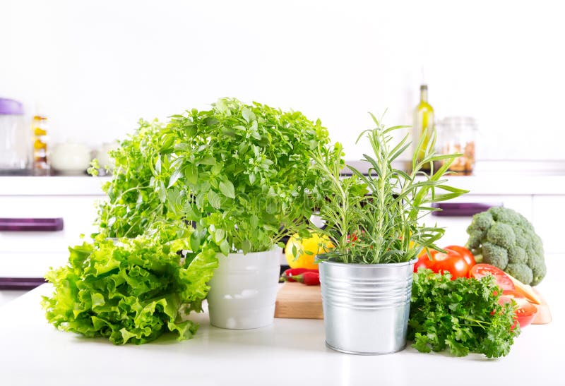 Fresh Green Herbs in the Kitchen Stock Photo Image of kitchen, diet