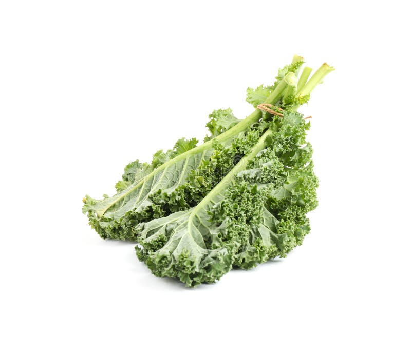 Fresh Green Kale Leaves Isolated Stock Image Image of fiber
