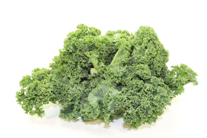 Green kale field stock photo. Image of fresh, growth 18727102