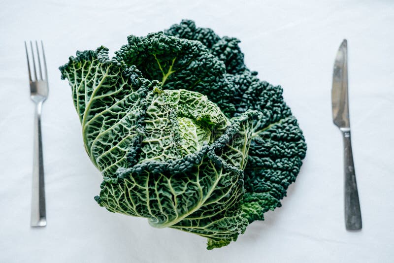 Fresh Green Kale Most Useful Vegetables White Background Stock Photos