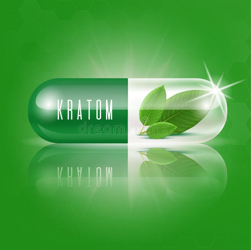 Fresh green kratom leaves in capsules. Mitragyna speciosa Plant herbal alternative