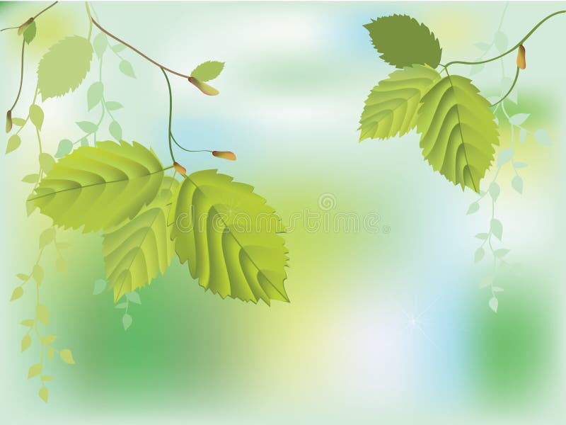 Fresh green leaves stock illustration