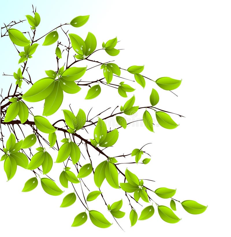 Fresh green leaves background royalty free illustration