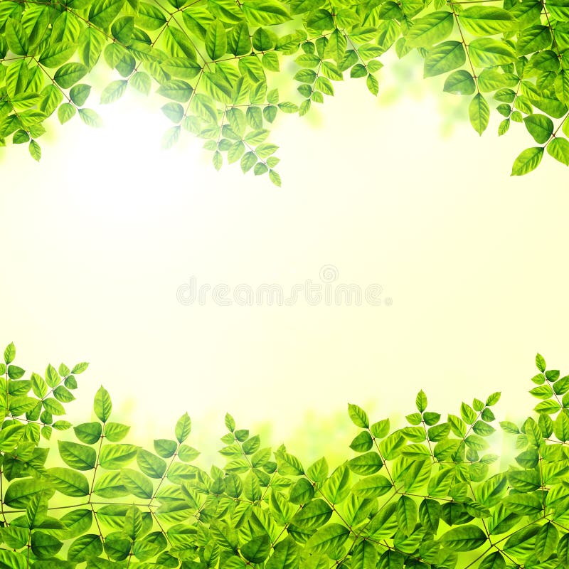 Fresh Green leaves background royalty free illustration