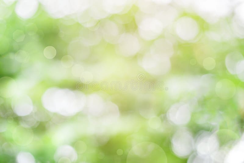 Fresh and green leaves green bokeh on nature abstract blur background